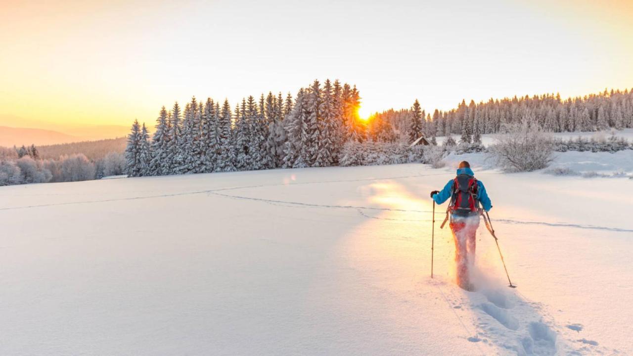 Privee Au Pied Des Pistes - - Chaletnelda Com Homestay Lamoura